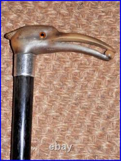 Victorian Walking Stick Hand-Carved Bovine Horn Heron Hallmarked 1891 Silver