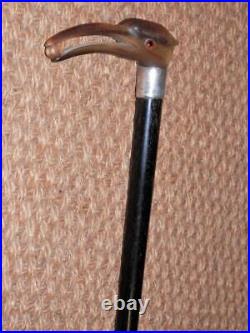 Victorian Walking Stick Hand-Carved Bovine Horn Heron Hallmarked 1891 Silver