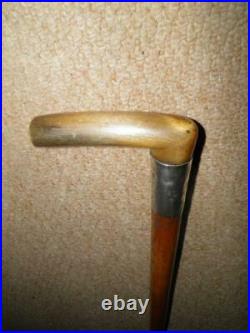 Victorian Walking Stick With Bovine Horn Fritz & H/m 1879 Silver Collar 88.5cm