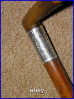 Victorian Walking Stick With Bovine Horn Fritz & H/m 1879 Silver Collar 88.5cm