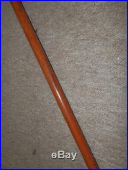 Victorian Walking Stick With Bovine Horn Toff Handle & H/m Silver Collar 1892