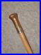 Victorian-Walking-Stick-With-Bovine-Horn-Top-Ferrule-Silver-Collar-H-m-1876-01-lpv