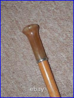 Victorian Walking Stick With Bovine Horn Top & Ferrule Silver Collar H/m 1876