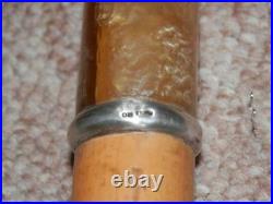 Victorian Walking Stick With Bovine Horn Top & Ferrule Silver Collar H/m 1876