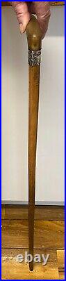 Victorian silver mounted malacca cane walking stick 1895 with polished horn grip