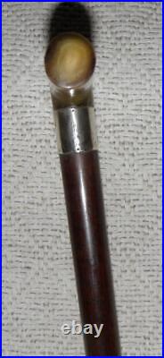 Vintage Hallmarked 1938 Silver Snakewood Walking Stick / Cane Bovine Horn Handle