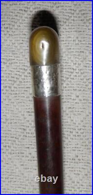 Vintage Hallmarked 1938 Silver Snakewood Walking Stick / Cane Bovine Horn Handle