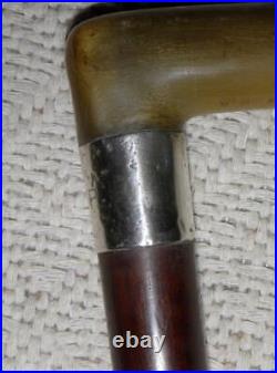 Vintage Hallmarked 1938 Silver Snakewood Walking Stick / Cane Bovine Horn Handle