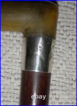 Vintage Hallmarked 1938 Silver Snakewood Walking Stick / Cane Bovine Horn Handle