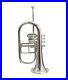 WOW-HOT-SALE-NEW-SILVER-4-VALVE-Bb-F-FLUGEL-HORN-WITH-FREE-CASE-MOUTHPIECE-01-ihwt