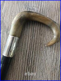 Walking Stick With London silver band hallmark e 1900 and horn handle