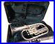 Yamaha-YAH-601S-YAH-601-Professional-Alto-Tenor-Horn-Silver-Plated-with-Case-01-gcpk