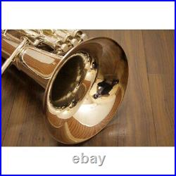 Yamaha YBH-301S Silver Baritone horn With Case mouthpiece Cleaned fully adjusted