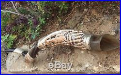 Yemenite Kudu Horn Shofar 28 30'' Silver Coated Lion Of Judah With Menorah
